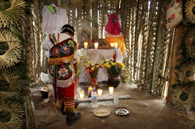 Altar de Día de Muertos de habitantes de la cultura totonaca.
