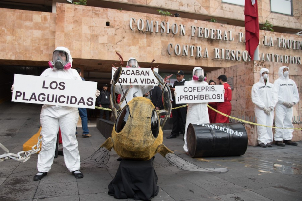 Activistas de Greenpeace exigen la prohibición de plaguicidas altamente peligrosos, en 2017.