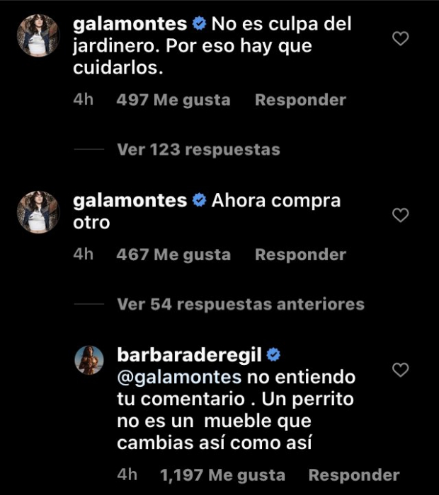 Bárbara de Regil y Gala Montes discuten en Instagram