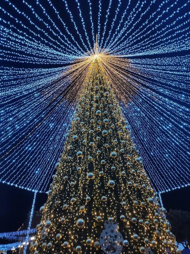 San Luis Potosí cuenta con el tercer árbol de Navidad más grande.