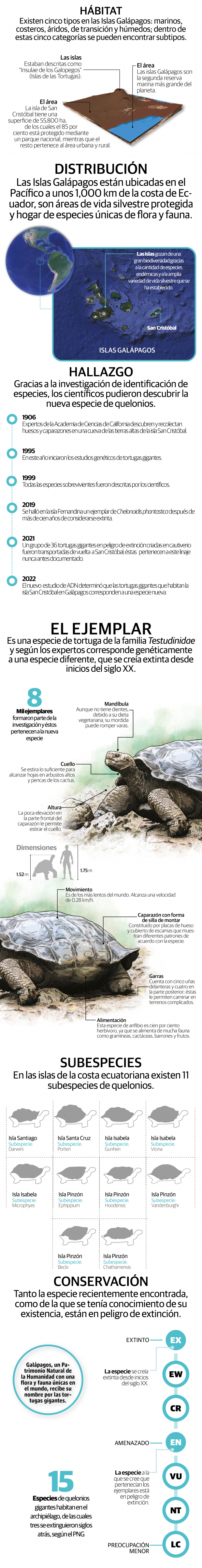 Científicos encuentran nueva especie de tortuga gigante en Islas Galápagos
