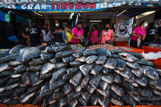La organización ambiental Oceana aseguró que es una competencia desleal entre los pescadores mexicanos y los productos de importación