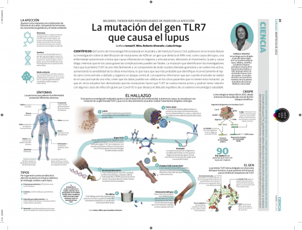 La mutación del gen TLR7 que causa el lupus