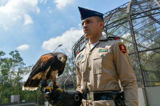 El Centro Nacional de Control y Protección del Águila Real abarca 9 mil 672 metros cuadrados.