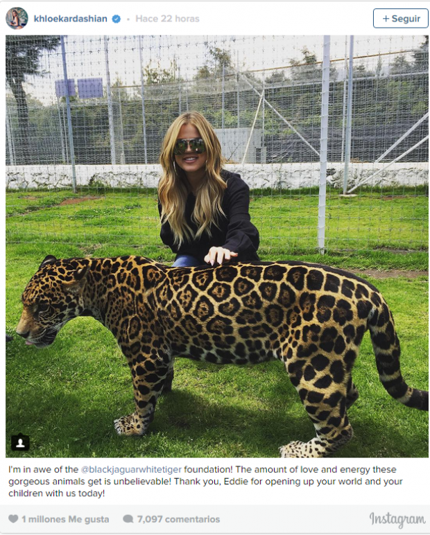 Khloé Kardashian visitó Black Jaguar-White Tiger