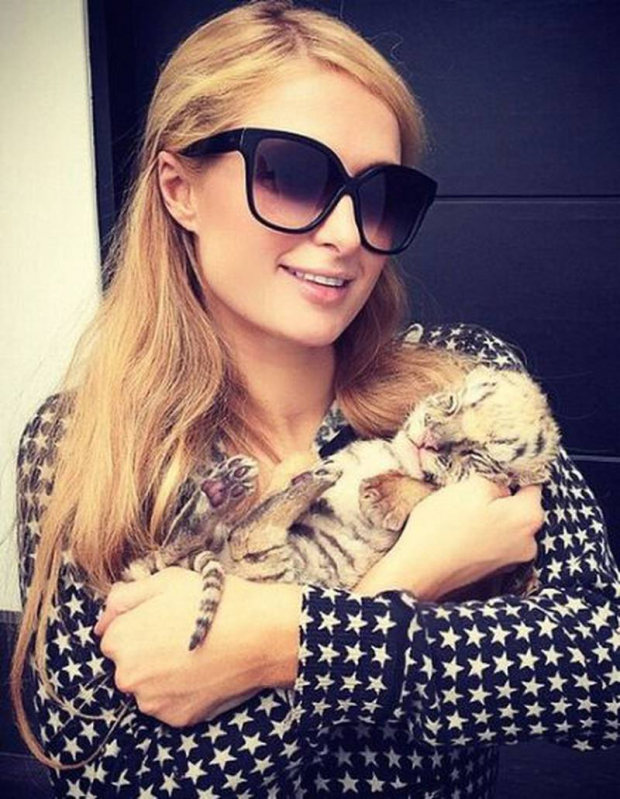 Paris Hilton fue una de las visitantes distinguidas de Black Jaguar-White Tiger