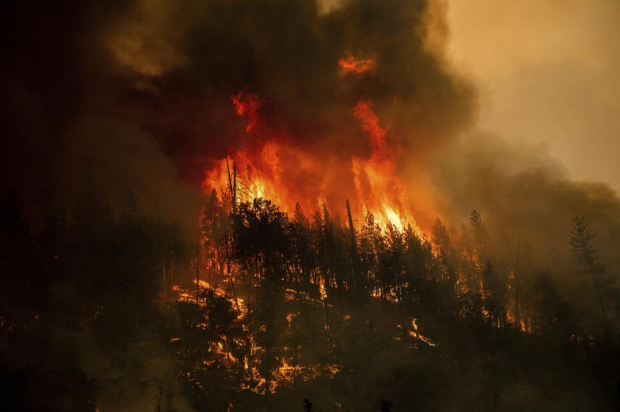 Las llamas del Incendio McKinney consumen árboles a lo largo de la Carretera 96 ​​de California en el Bosque Nacional Klamath, California.