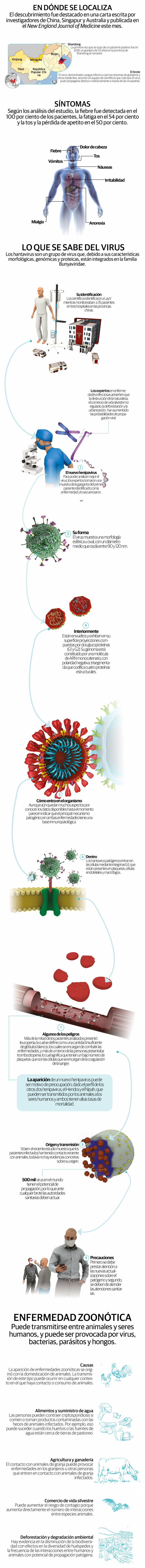 Langya henipavirus, el nuevo virus reportado en China que puede causar síntomas respiratorios como fiebre, tos y fatiga
