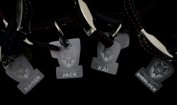 Placas de Káiser, Jack, Sherlock y Kai.