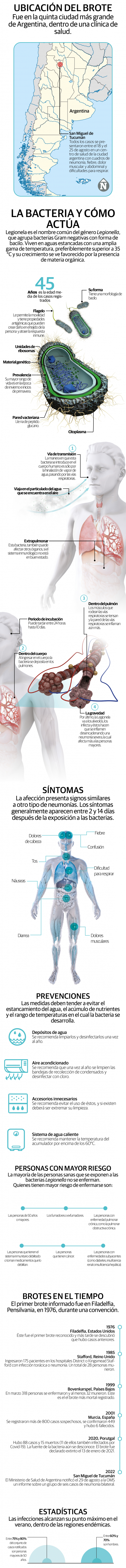Legionella, cómo es la bacteria causante de las neumonías en Argentina