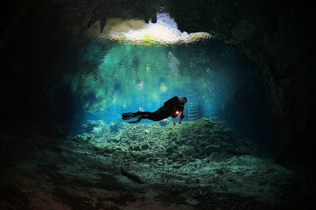 Nada y aprecia el paisaje subacuático del Gran Cenote de Tulum.