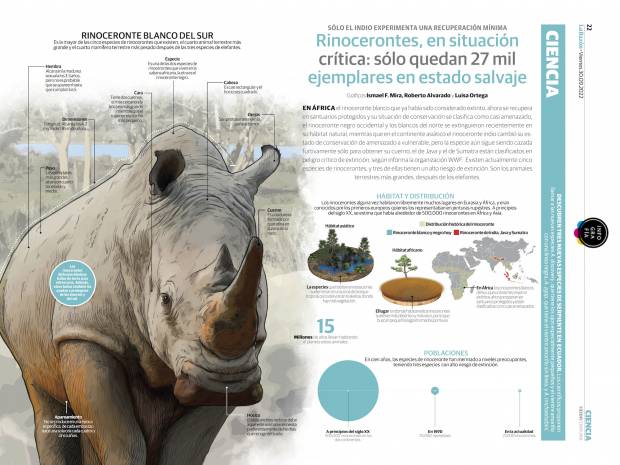 Rinocerontes, en situación crítica: sólo quedan 27 mil ejemplares en estado salvaje