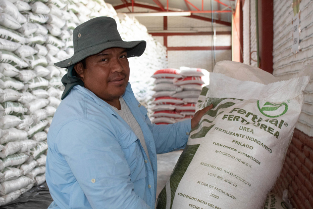 Entrega de fertilizantes gratuitos para productores de pequeña escala.