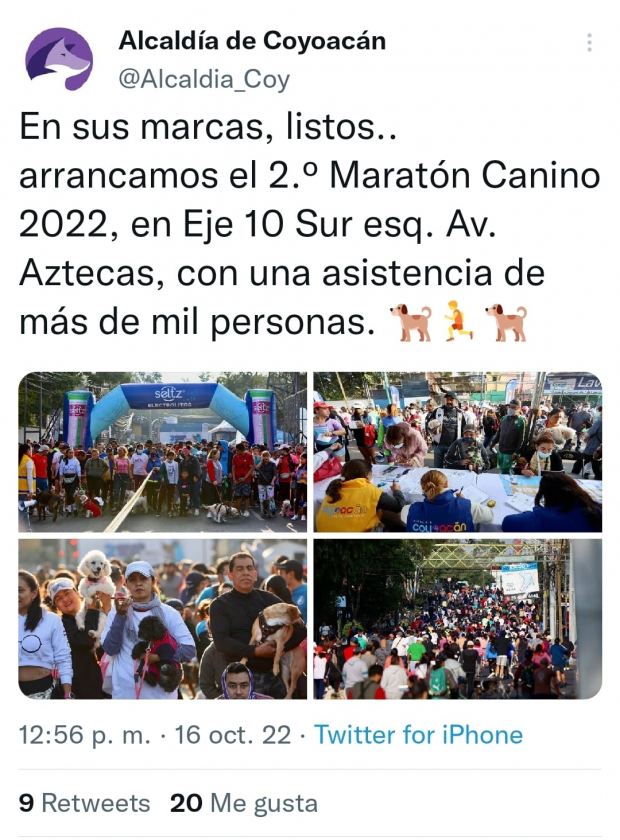 Alcaldía de Coyoacán vía Twitter