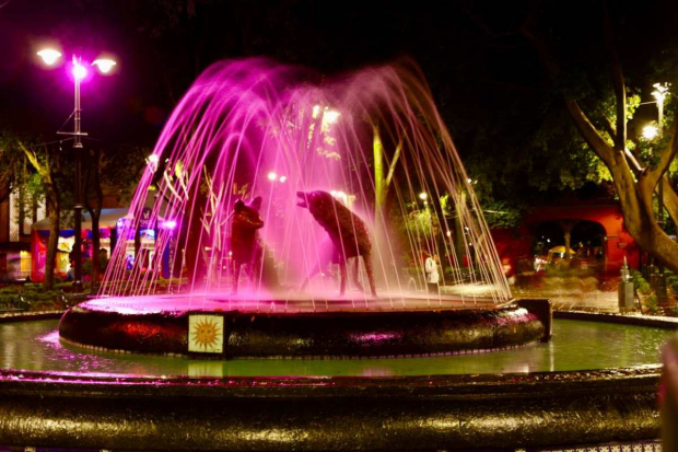 La fuente de los Coyotes en Jardín Centenario y la Glorieta de los Coyotes en el cruce de Miguel Ángel de Quevedo y Av. Universidad se iluminarán de rosa durante el mes de octubre.