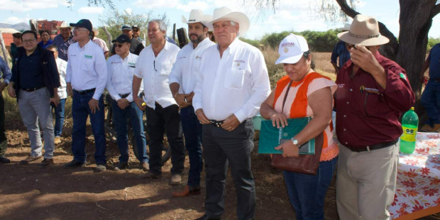 La Secretaría de Agricultura y Desarrollo Rural anunció el fortalecimiento del apoyo económico para la siembra de los cultivos estratégicos: trigo, alfalfa, frijol y cártamo para los pueblos yaquis.