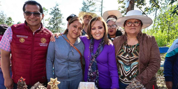 La gobernadora Lorena Cuéllar Cisneros inauguró el punto de venta de árboles navideños naturales Bosque Mágico "Navitlax",
