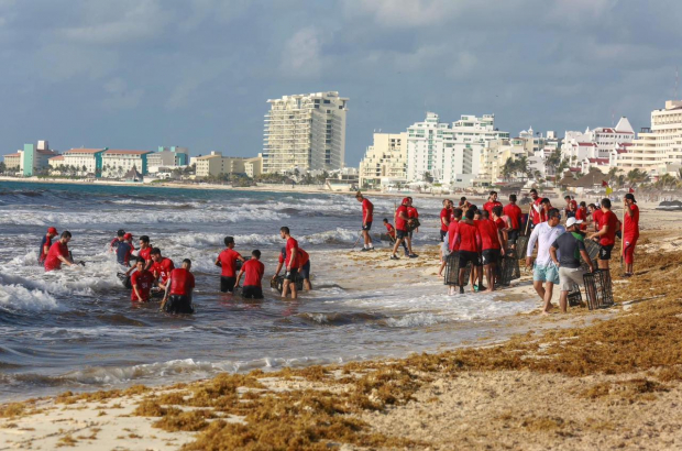 Se han recogido 50 mil toneladas de sargazo de playas de Quintana Roo.