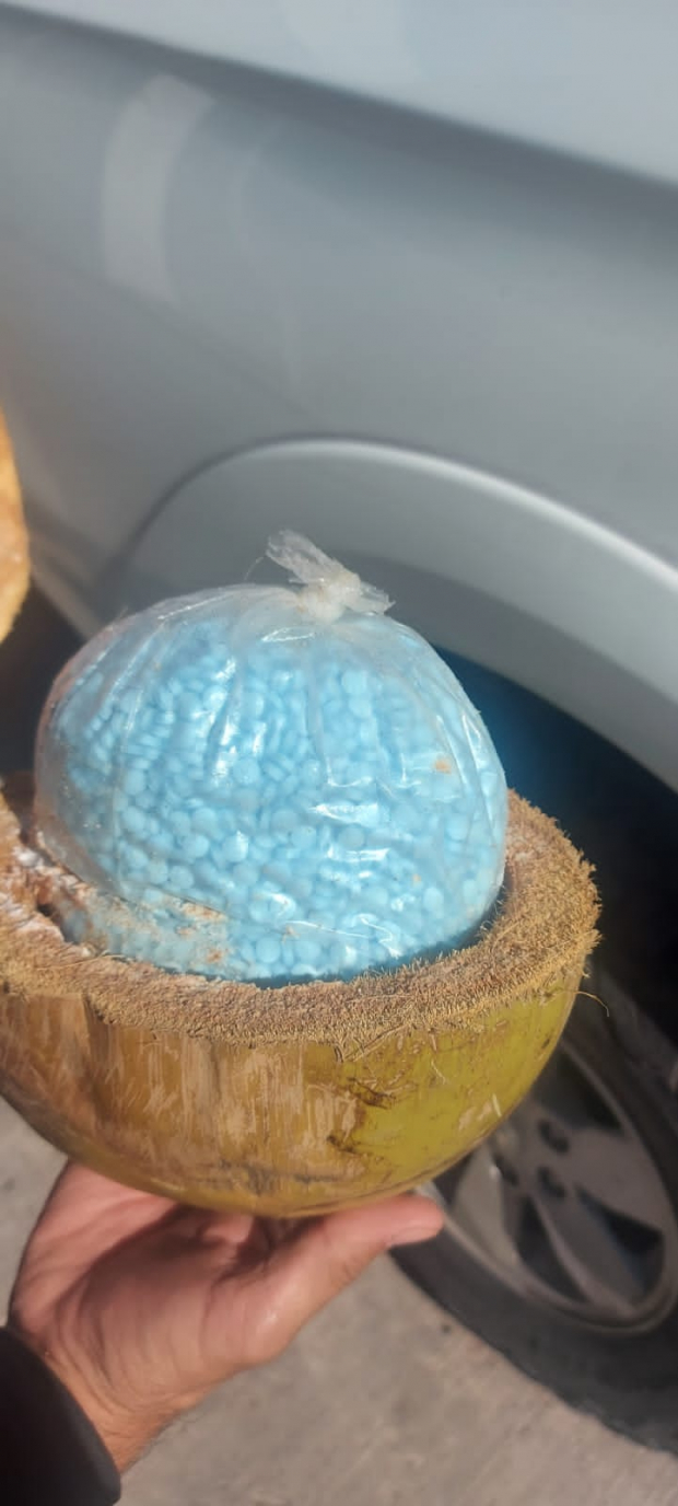 En la imagen, el supuesto fentanilo al interior de un coco