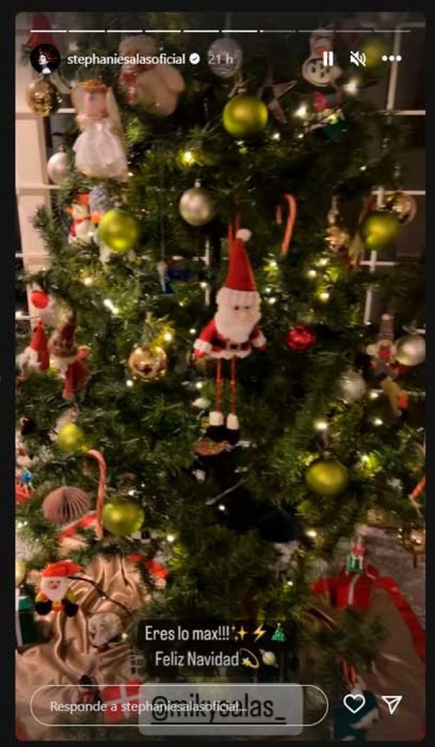 El árbol de Navidad de los tórtolos