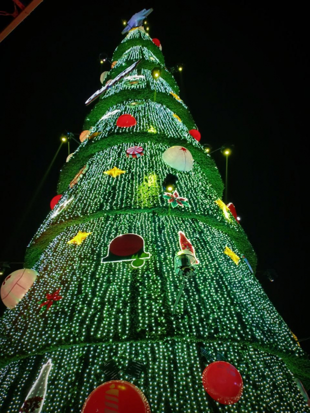 La primera fecha en la que se puede poner el árbol de Navidad es es al inicio del adviento que en este año sería a partir del 27 de noviembre.