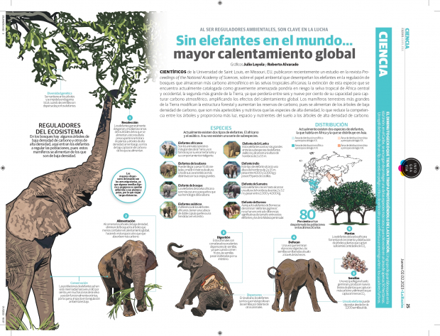 Sin elefantes en el mundo… mayor calentamiento global