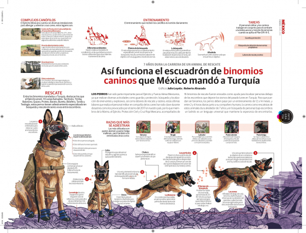 Así funciona el escuadrón de binomios caninos que México mandó a Turquía