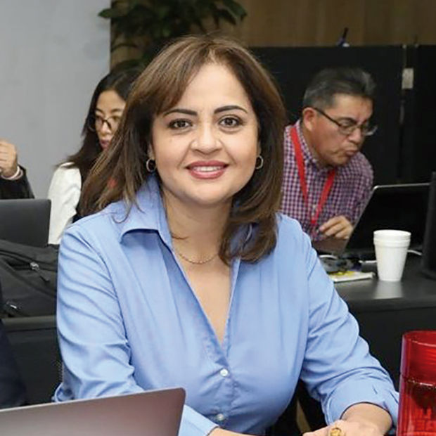 La diputada Ana Lilia Herrera,  en imagen de archivo.