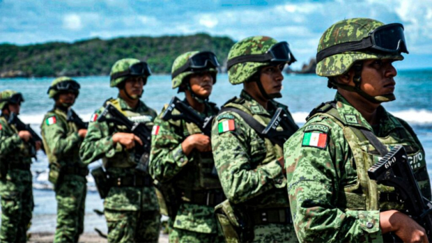 El Ejército Mexicano es la rama terrestre de las Fuerzas Armadas de México y depende de la Secretaría de la Defensa Nacional.