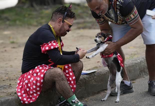 El propietario de una perrita le pone un disfraz para el desfile "Blocao" del Carnaval de Río de Janeiro, Brasil
