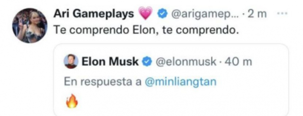 Así le respondió AriGameplays a Elon Musk