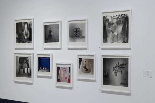 La exposición cuenta con numerosas fotografías.