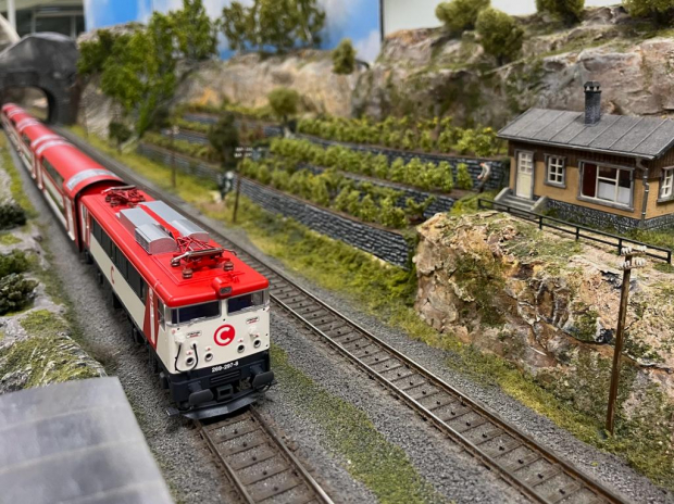 Un ejemplo de modelismo dinámico es el ferroviario