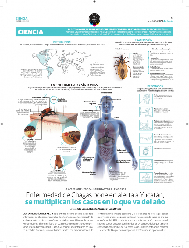 Enfermedad de Chagas pone en alerta a Yucatán; se multiplican los casos en lo que va del año