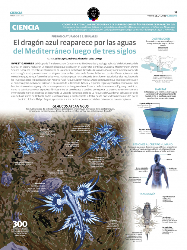 El dragón azul reaparece por las aguas del Mediterráneo luego de tres siglos