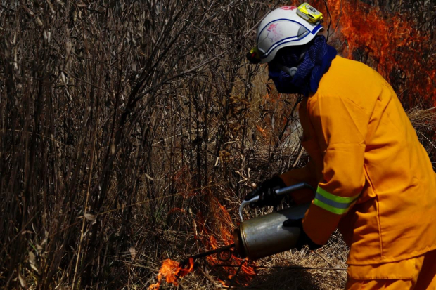 Lía Limón destaca acciones para prevenir incendios forestales.
