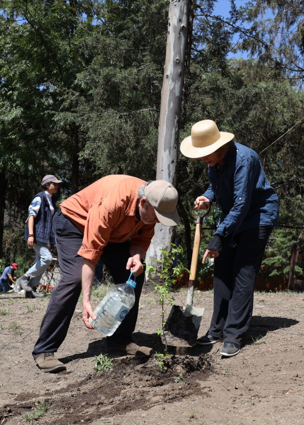 El Gobierno de Huixquilucan realizó las dos primeras jornadas de reforestación en los parques de la Amistad y de Valladolid