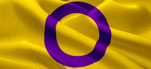 Las banderas utilizadas por la comunidad LGBT+.