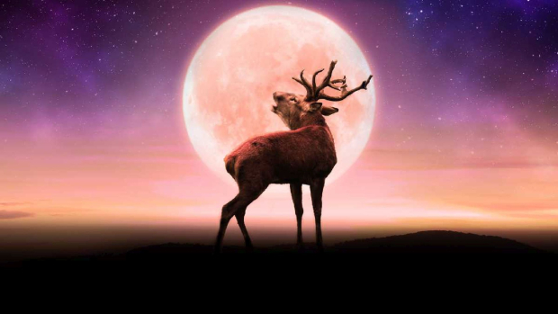 La Superluna del Ciervo es una de las más llamativas del planeta.