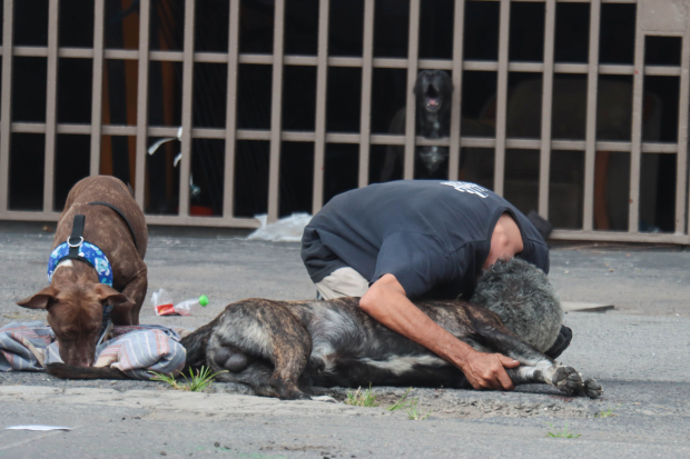 Un hombre de la tercera edad abraza y llora junto al cadáver de Zeus, el perro que lo salvó de ser asaltado el viernes en el centro de la CDMX. Posteriormente, el agresor disparó contra el can y huyó, pero fue aprehendido por la policía y ya está en prisión.