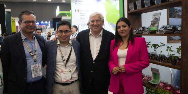 El sector de las frutillas en México mantendrá su liderazgo en el cumplimiento de las regulaciones nacionales e internacionales.