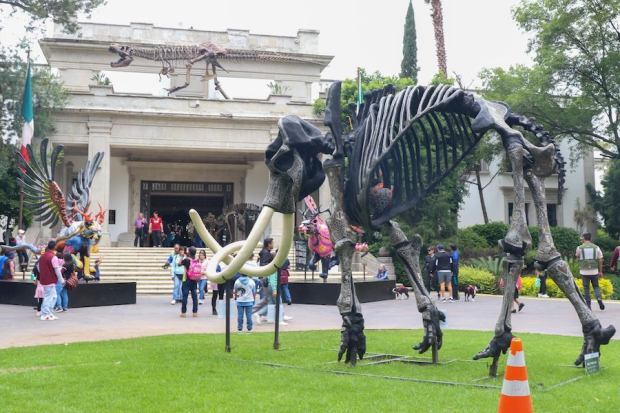 Visitantes en su ingreso a la exposición de réplicas de dinosaurios en Los Pinos, ayer.