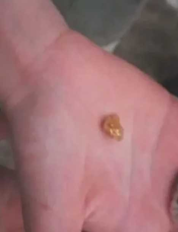 La pepita de oro que un estudiante encontró en una mina