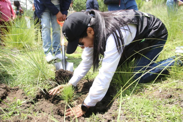 Arranca reforestación en Tlalpan con la plantación de más de mil 500 árboles