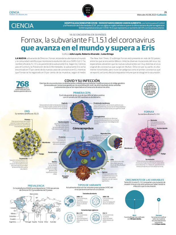 Fornax, la subvariante FL1.5.1 del coronavirus que avanza en el mundo y supera a Eris