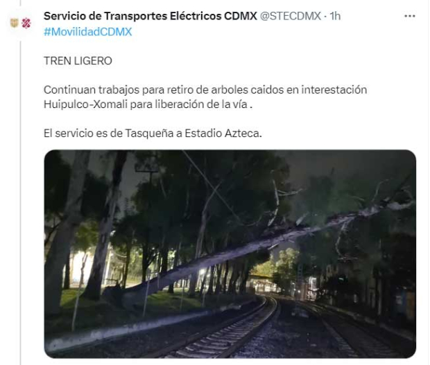 Caen árboles en vías del Tren Ligero de la CDMX por lluvias y vientos fuertes