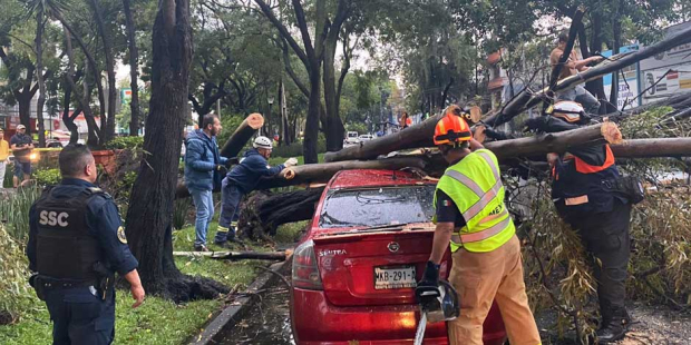 Alcaldía Coyoacán atiende emergencia por lluvias y ráfagas de viento atípicas