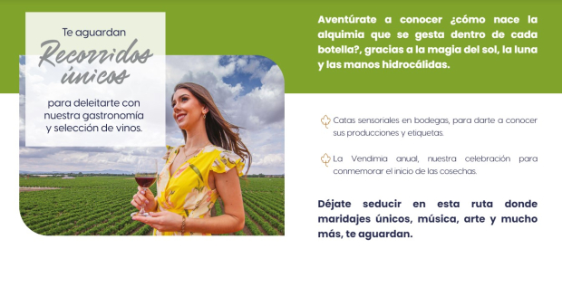 Revelan actividades de 'Vive las Vendimias 2023' en Aguascalientes.