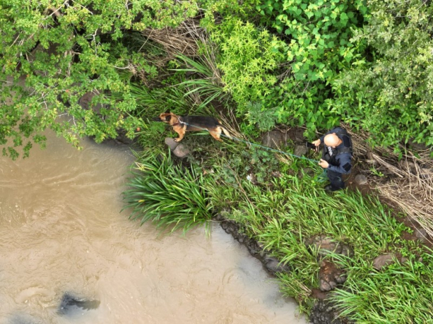 El pasado miércoles 30 de agosto se encontraron en un arroyo los cuerpos de Adrián Rivera Díaz y Rosalba Dena Ledezma, quienes fueron reportados como desaparecidos unos días antes en el municipio de La Yesca, en el estado de Nayarit.