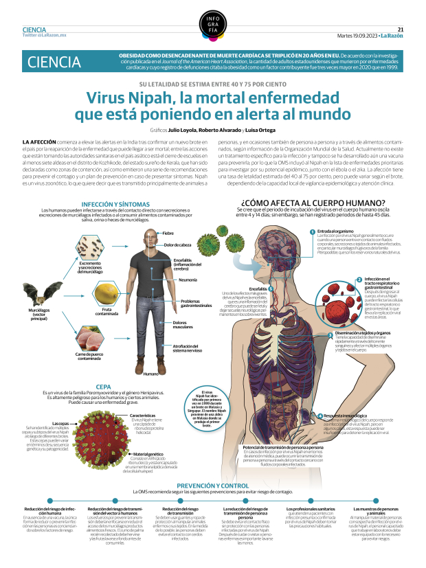 Virus Nipah, la mortal enfermedad que está poniendo en alerta al mundo